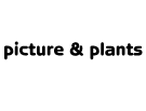 版画と植物